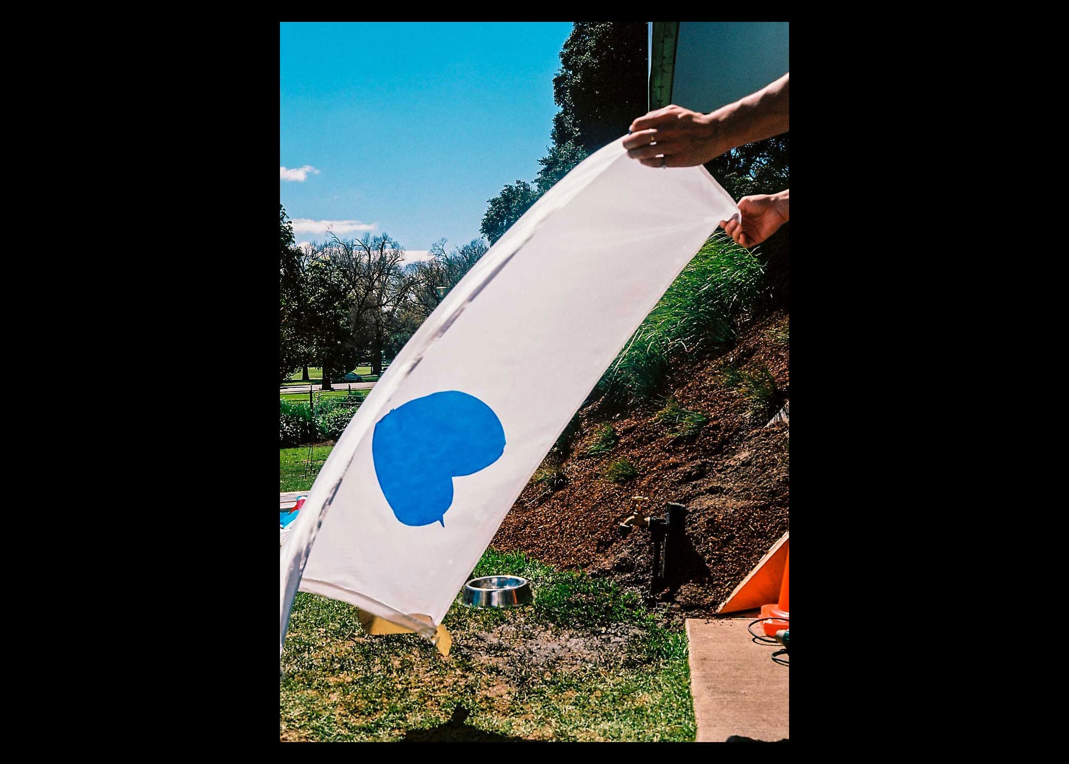 What Would the MPavilion Flag Look Like? — image 2