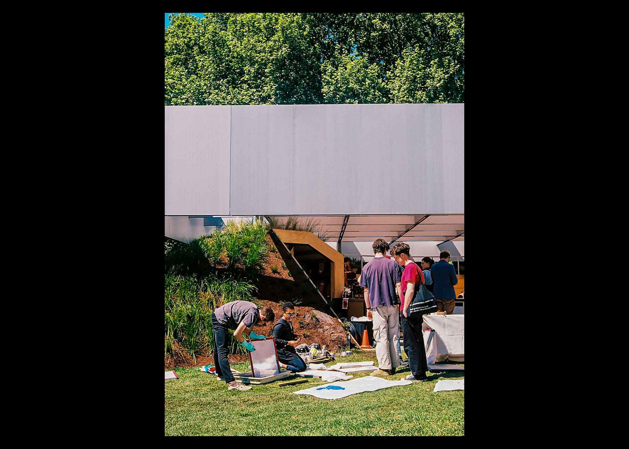 What Would the MPavilion Flag Look Like? — image 3
